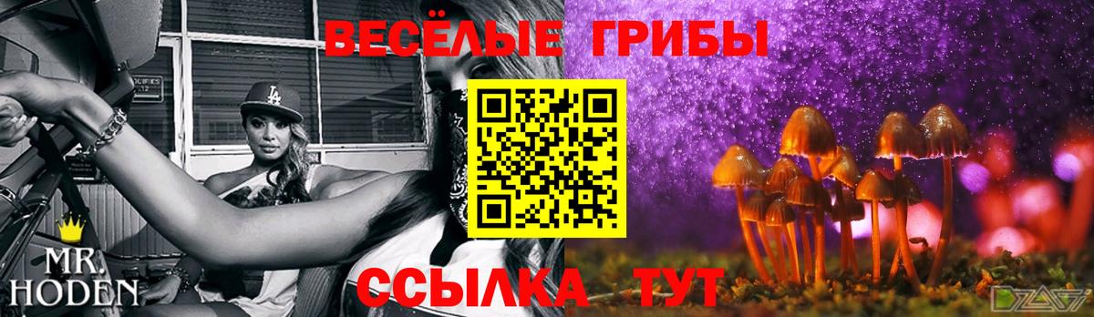 Семёнов  закладка  Псилоцибиновые грибы прущие грибы  Вход с VPN  Псилоцибиновые грибы GOLDEN TEACHER 